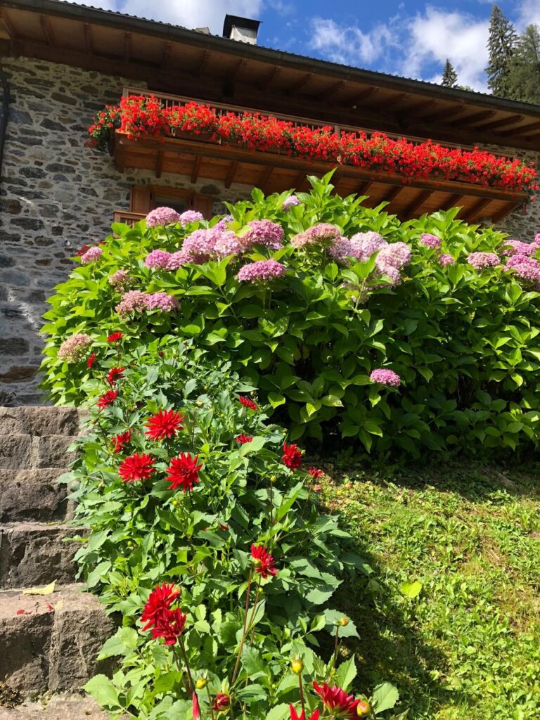 Chalet nelle dolomiti d'estate